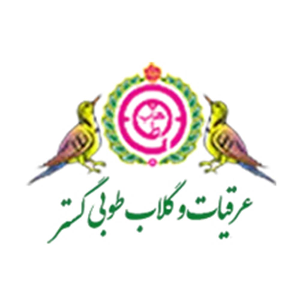 امیر حدادی